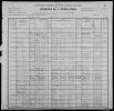 Turner, Frederick, 1900 census for Michigan