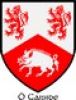 Cassidy Coat of Arms